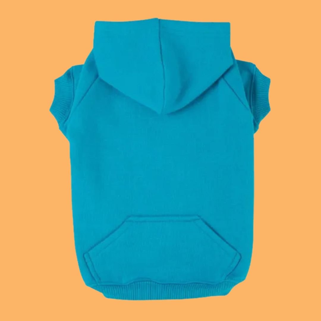 Basic Hoodie Bluebird M