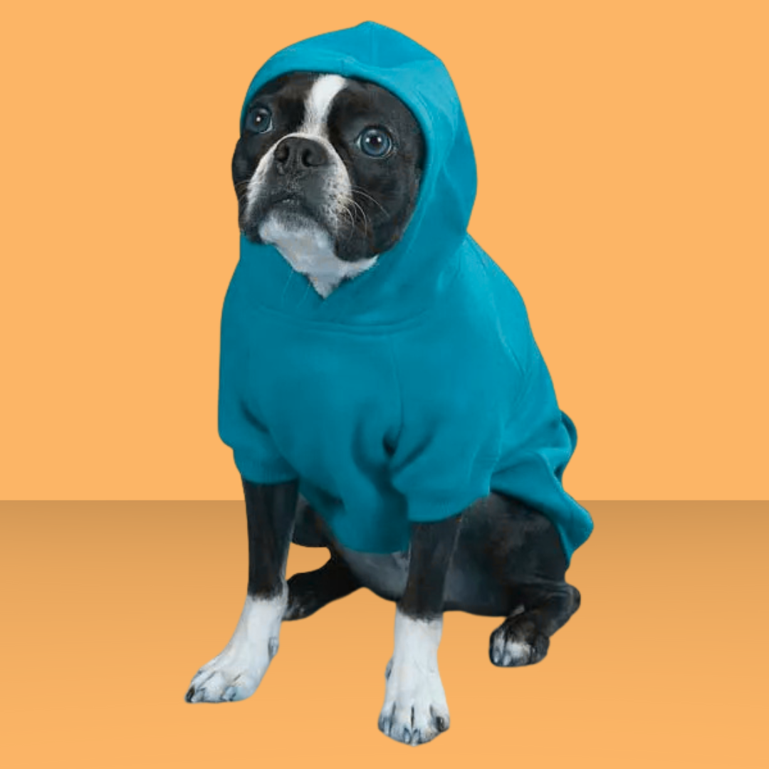 Basic Hoodie Bluebird S