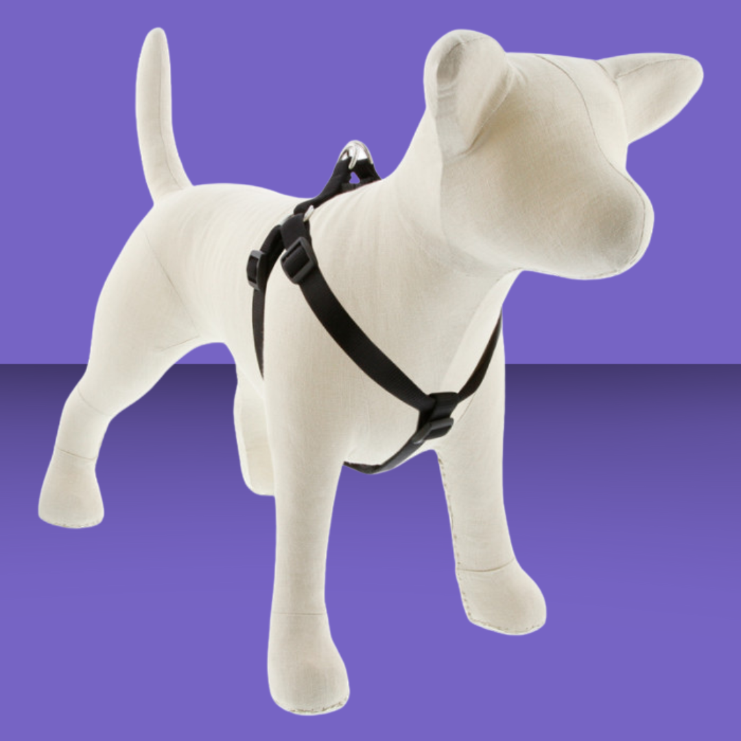 3/4" Step In Black 20-30"