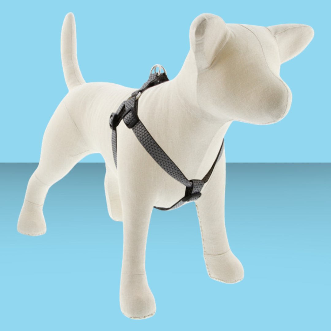 Eco 3/4" Step In Granite 15-21"