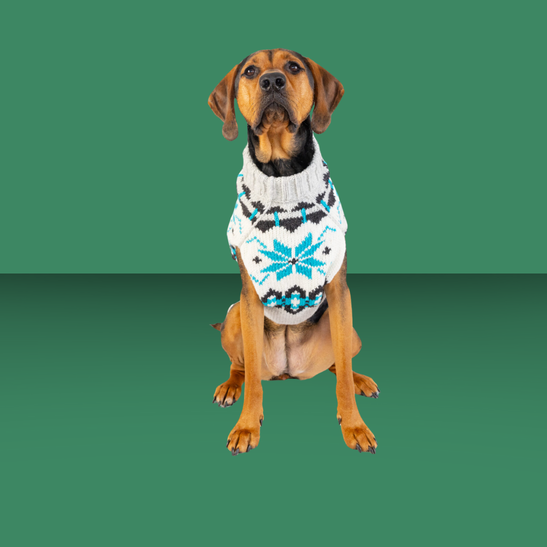 Chilly Dog Frost Alpaca