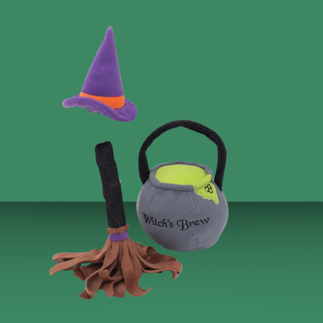 Halloween Costume Kit Witch