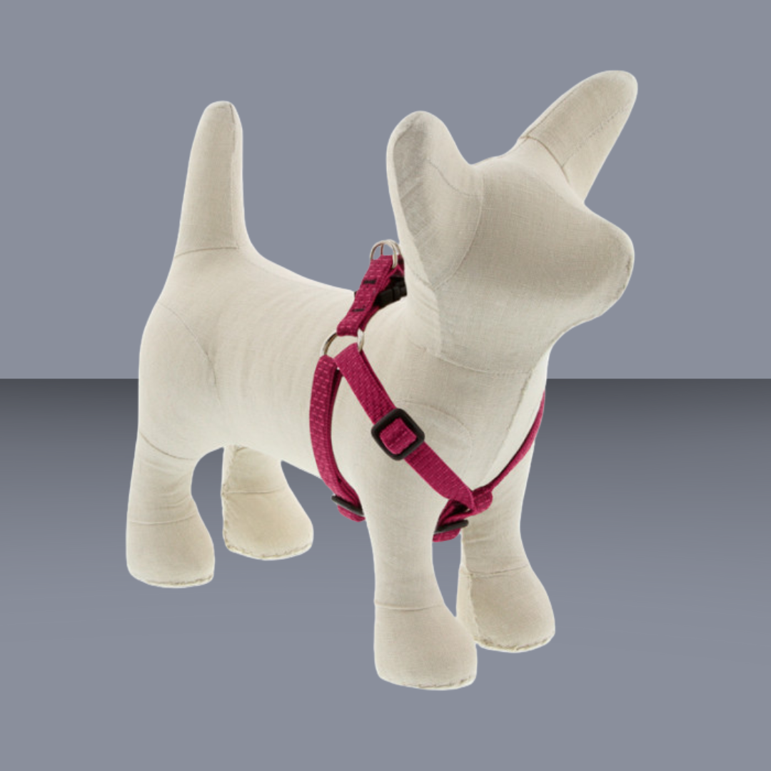 Eco 1/2" Step In Berry 12-18"