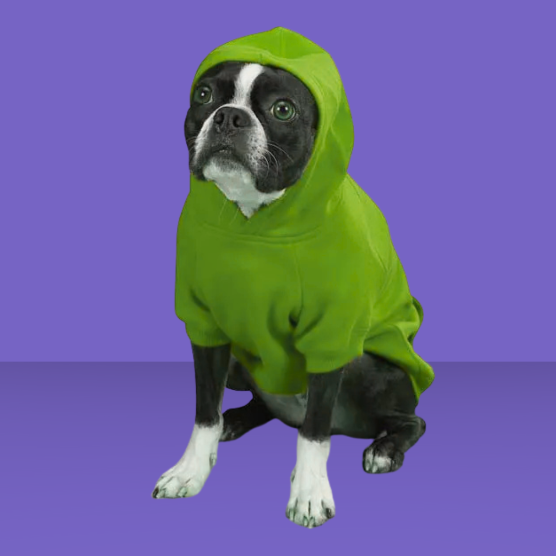 Basic Hoodie Parrot Green XS